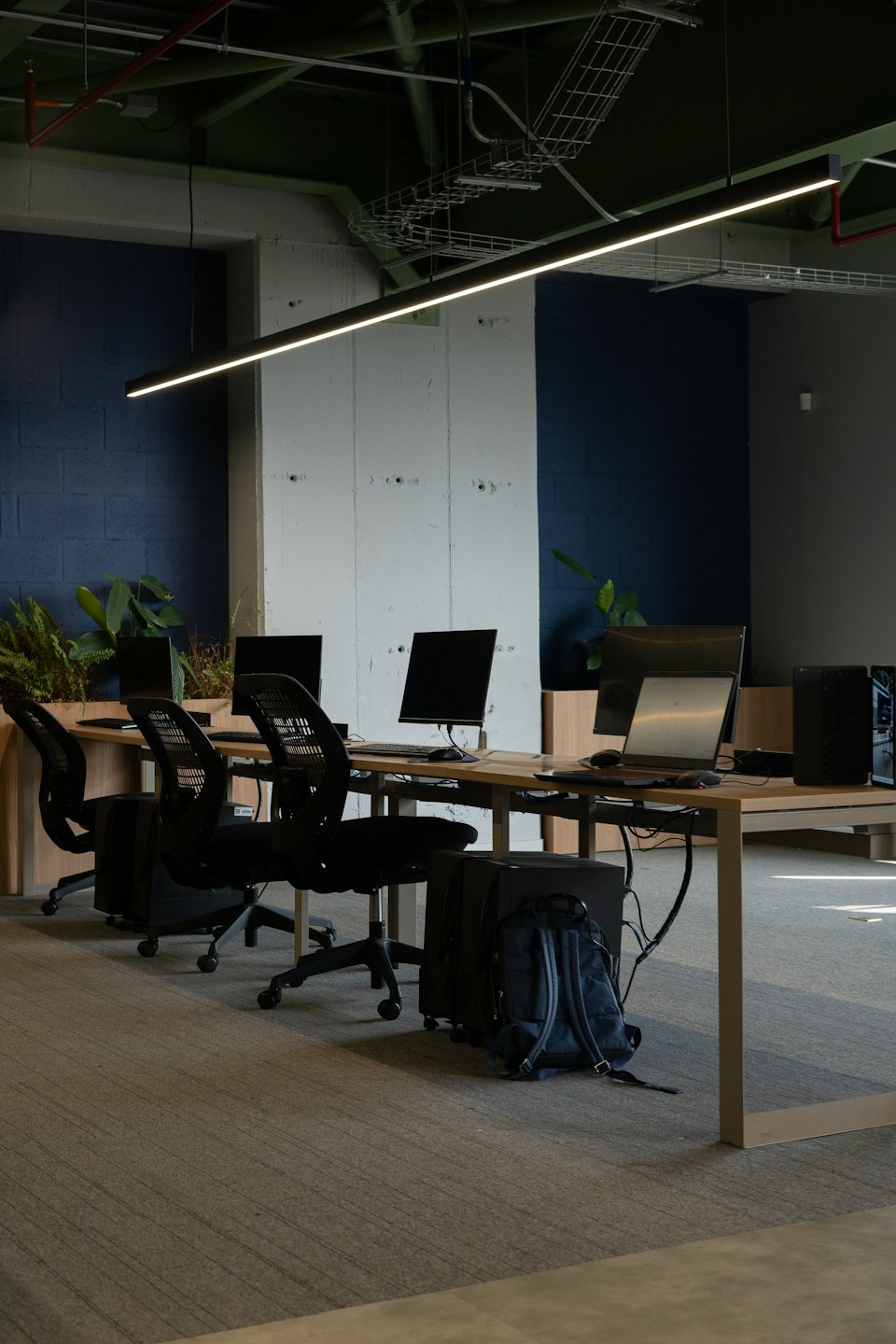 Modern office with workstations, computers, and plants on grey carpet.