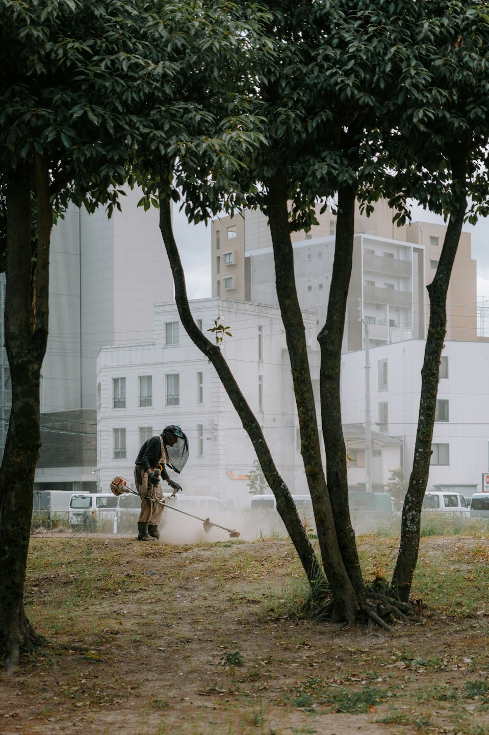 Groundskeeper trims grass with a weed whacker in a city park.